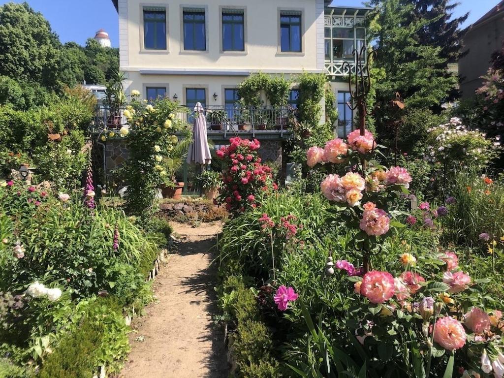 Ferienwohnung Villa Barbara Auf Der Saechsischen Weinroute Radebeul Zewnętrze zdjęcie